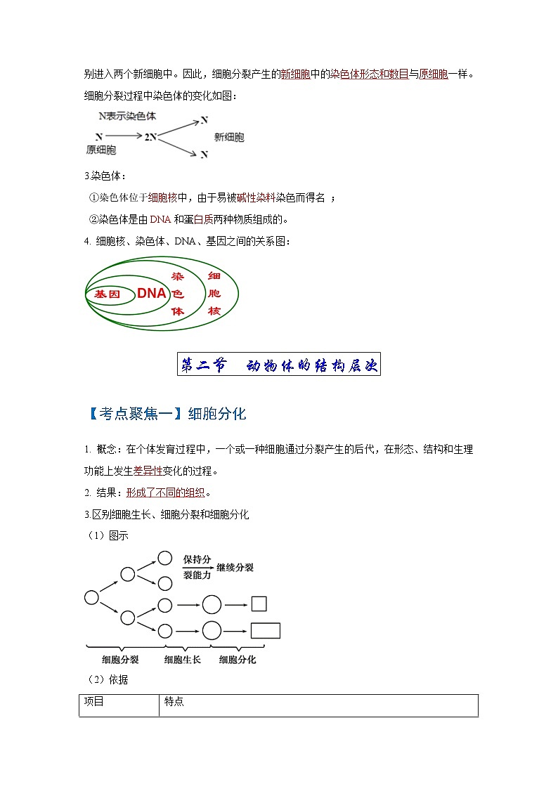 考点03  细胞怎样构成生物体 中考生物 知识点复习（人教版）第2页