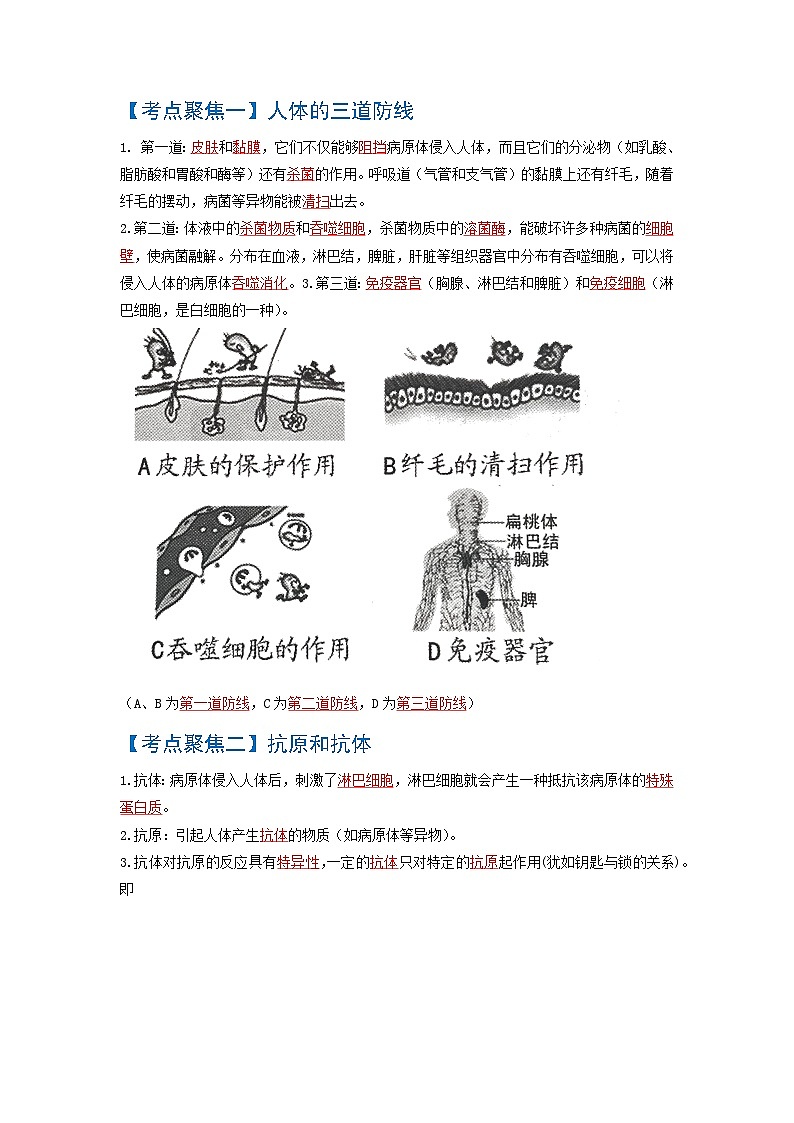 考点04  传染病和免疫 中考生物 知识点复习（人教版）02