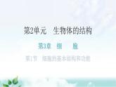 北师大版七年级生物上册第2单元第3章第1节细胞的基本结构和功能知识点课件