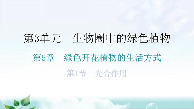 北师大版七年级生物上册第3单元第5章第1节光合作用知识点课件第1页