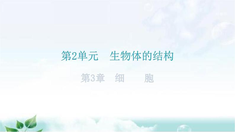 北师大版七年级生物上册第2单元第3章细胞练习课件第1页