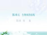 北师大版七年级生物上册第2单元第3章细胞练习课件