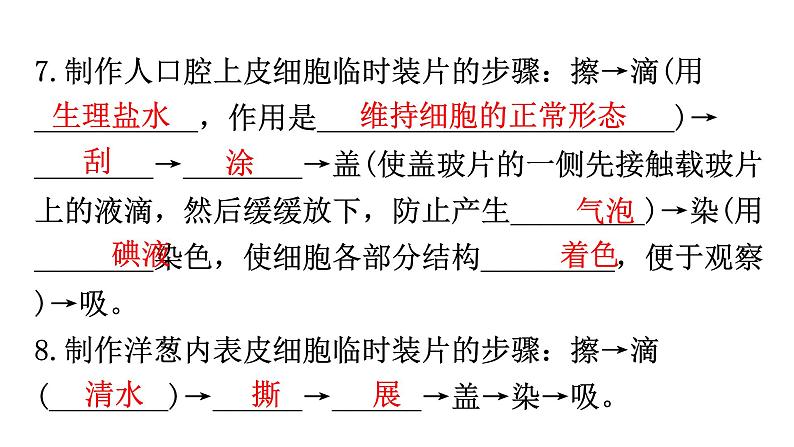 北师大版七年级生物上册第2单元第3章细胞练习课件第7页