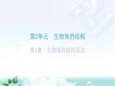 北师大版七年级生物上册第2单元第4章生物体的结构层次练习课件