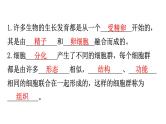 北师大版七年级生物上册第2单元第4章生物体的结构层次练习课件