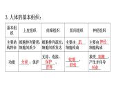 北师大版七年级生物上册第2单元第4章生物体的结构层次练习课件