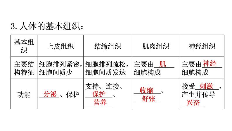 北师大版七年级生物上册第2单元第4章生物体的结构层次练习课件第3页