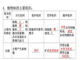 北师大版七年级生物上册第2单元第4章生物体的结构层次练习课件