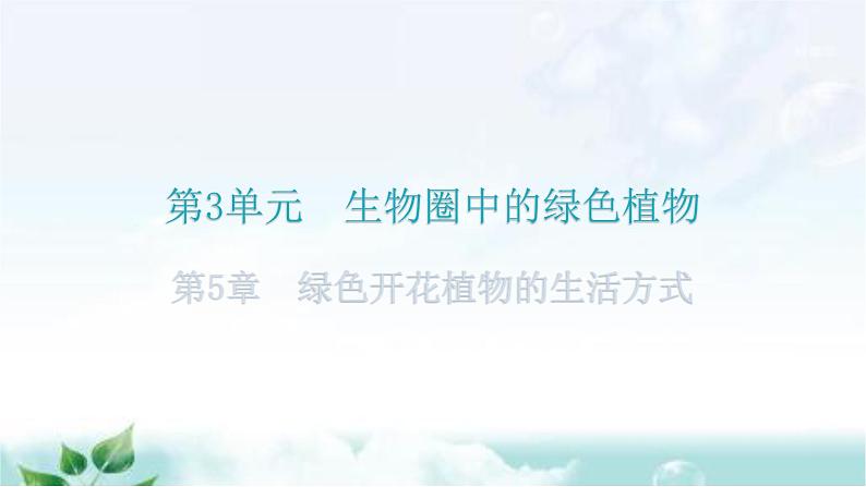 北师大版七年级生物上册第3单元第5章绿色开花植物的生活方式练习课件01