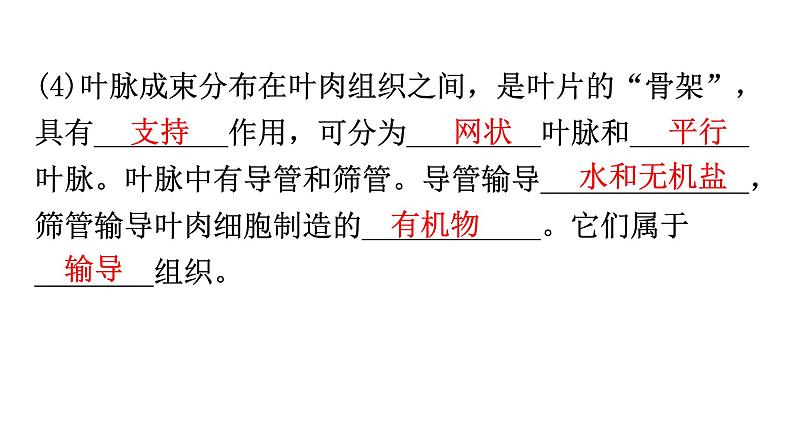 北师大版七年级生物上册第3单元第5章绿色开花植物的生活方式练习课件08