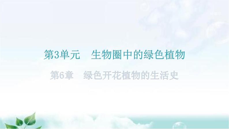 北师大版七年级生物上册第3单元第6章绿色开花植物的生活史练习课件第1页