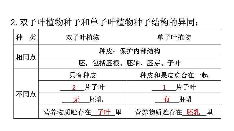 北师大版七年级生物上册第3单元第6章绿色开花植物的生活史练习课件第3页