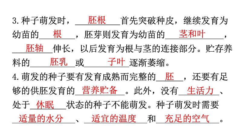 北师大版七年级生物上册第3单元第6章绿色开花植物的生活史练习课件第4页