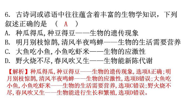 北师大版七年级生物上册第1单元第1章第1节形形色色的生物分层作业课件06