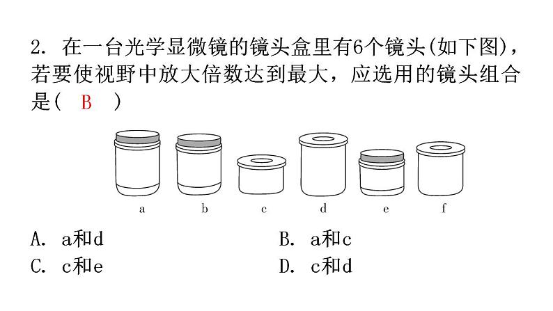 北师大版七年级生物上册第2单元第3章第1节细胞的基本结构和功能-1分层作业课件第3页