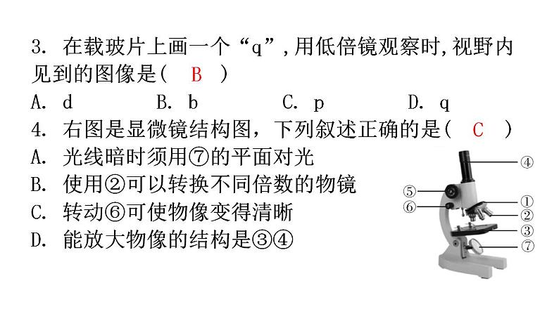 北师大版七年级生物上册第2单元第3章第1节细胞的基本结构和功能-1分层作业课件第4页