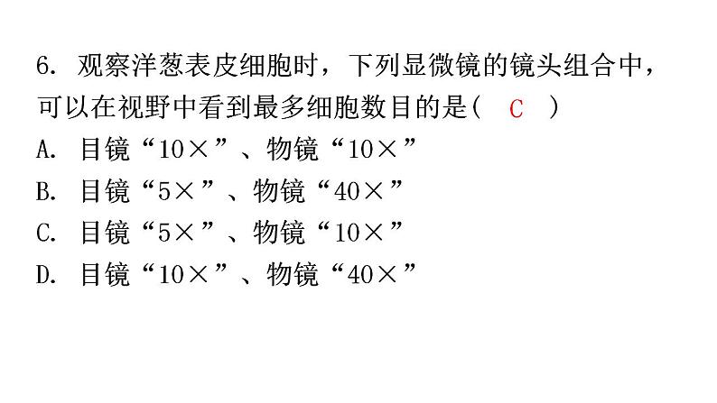 北师大版七年级生物上册第2单元第3章第1节细胞的基本结构和功能-1分层作业课件第6页