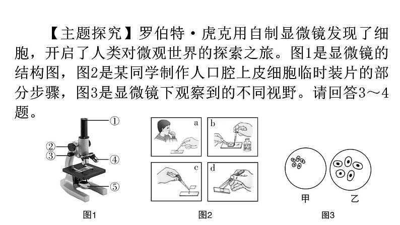 北师大版七年级生物上册第2单元第3章第1节细胞的基本结构和功能-2分层作业课件04