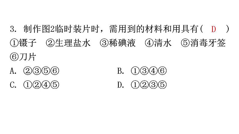 北师大版七年级生物上册第2单元第3章第1节细胞的基本结构和功能-2分层作业课件05