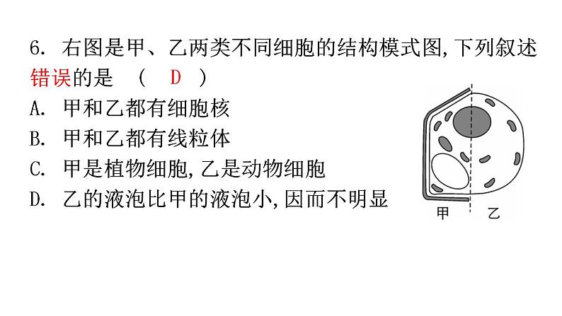 北师大版七年级生物上册第2单元第3章第1节细胞的基本结构和功能-3分层作业课件第6页