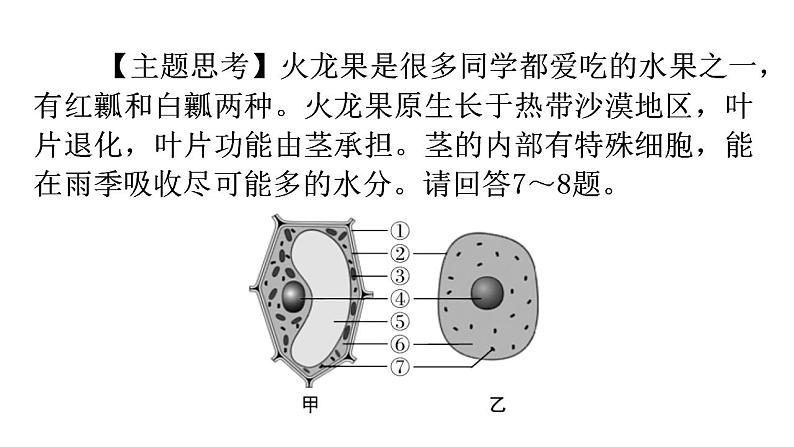 北师大版七年级生物上册第2单元第3章第1节细胞的基本结构和功能-3分层作业课件第7页