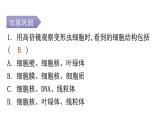 北师大版七年级生物上册第2单元第3章第2节细胞是生命活动的单位分层作业课件
