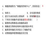 北师大版七年级生物上册第2单元第3章第2节细胞是生命活动的单位分层作业课件