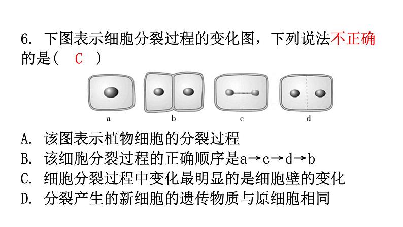 北师大版七年级生物上册第2单元第3章第3节细胞通过分裂而增殖分层作业课件06