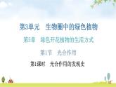 北師大版七年級(jí)生物上冊(cè)第3單元第5章第1節(jié)-1光合作用分層作業(yè)課件