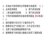 北師大版七年級(jí)生物上冊(cè)第3單元第5章第1節(jié)-1光合作用分層作業(yè)課件