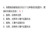 北師大版七年級(jí)生物上冊(cè)第3單元第5章第1節(jié)-1光合作用分層作業(yè)課件