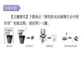 北師大版七年級(jí)生物上冊(cè)第3單元第5章第1節(jié)-2光合作用分層作業(yè)課件