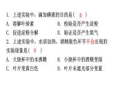 北師大版七年級(jí)生物上冊(cè)第3單元第5章第1節(jié)-2光合作用分層作業(yè)課件
