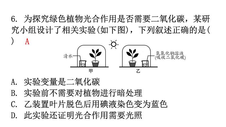 北师大版七年级生物上册第3单元第5章第1节-2光合作用分层作业课件06