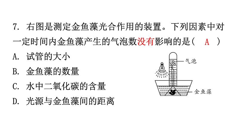 北师大版七年级生物上册第3单元第5章第1节-2光合作用分层作业课件07