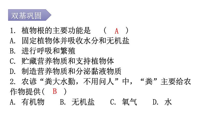 北师大版七年级生物上册第3单元第5章第3节吸收作用分层作业课件02