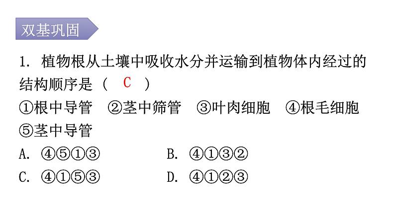 北师大版七年级生物上册第3单元第5章第5节运输作用分层作业课件第2页