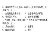 北师大版七年级生物上册期末过关训练课件