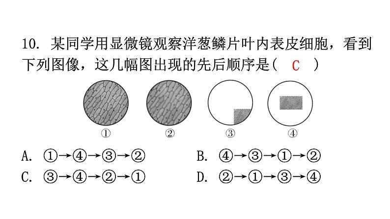 北师大版七年级生物上册期末过关训练课件第8页