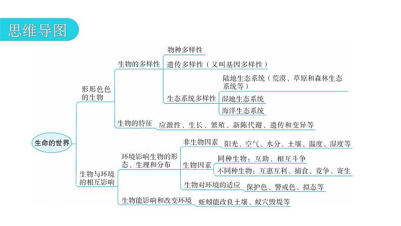 北师大版七年级生物上册第1单元第1章章末总结教学课件第3页