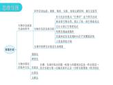 北師大版七年級生物上冊第1單元第2章章末總結(jié)教學課件