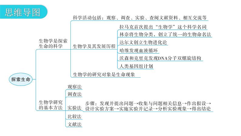 北师大版七年级生物上册第1单元第2章章末总结教学课件第3页