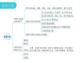 北师大版七年级生物上册第1单元第2章章末总结教学课件