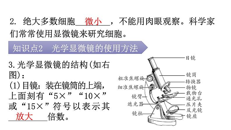 北师大版七年级生物上册第2单元第3章第1节-1细胞的基本结构和功能教学课件05