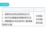 北师大版七年级生物上册第2单元第3章第2节细胞是生命活动的单位教学课件