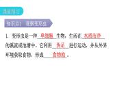 北师大版七年级生物上册第2单元第3章第2节细胞是生命活动的单位教学课件