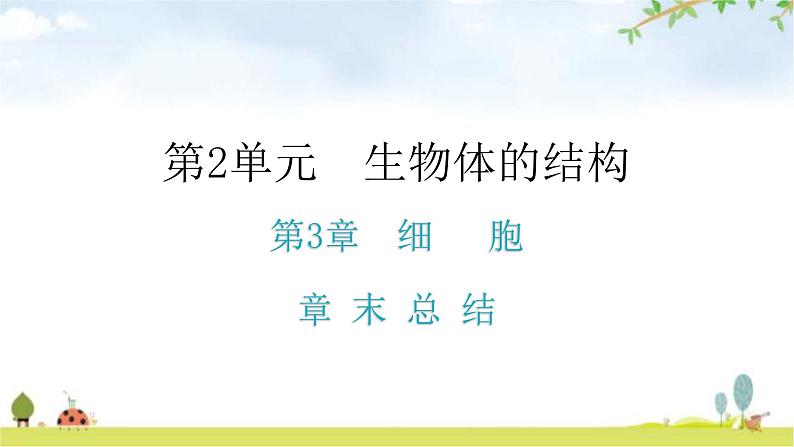 北师大版七年级生物上册第2单元第3章章末总结教学课件01