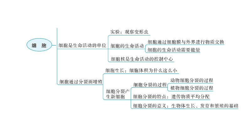 北师大版七年级生物上册第2单元第3章章末总结教学课件04