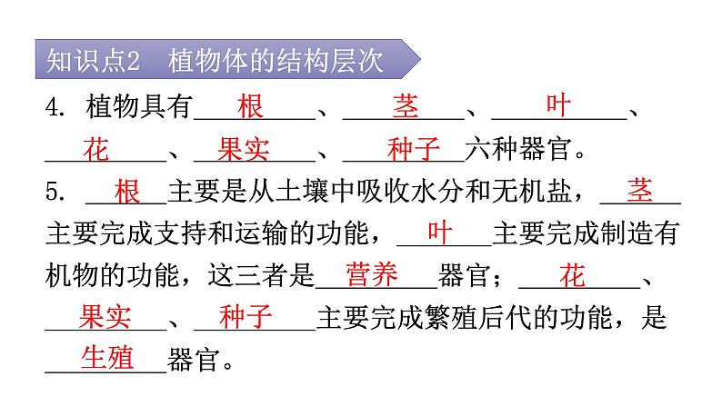 北师大版七年级生物上册第2单元第4章第2节生物体的器官、系统教学课件第6页