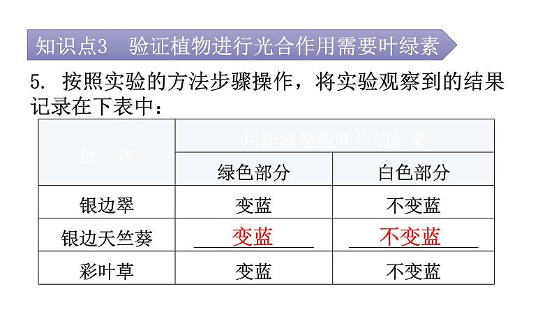 北师大版七年级生物上册第3单元第5章第1节-2探索光合作用教学课件第7页